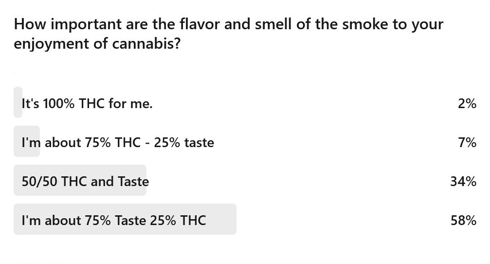 cannabis curing flavor and taste survey