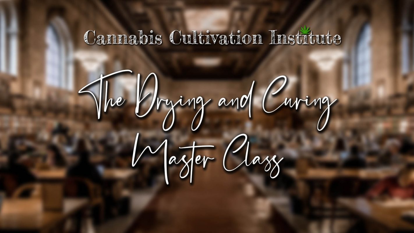 Drying and Curing Master Class, educational programs courses offered by the Cannabis cultivation institute